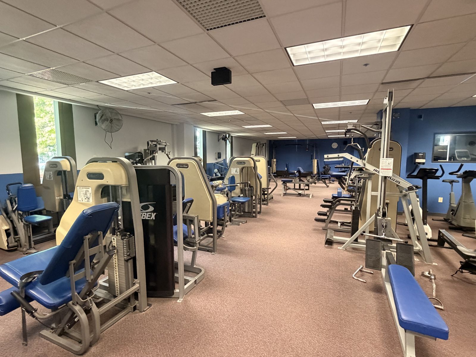 A row of Cybex resistance machines along the main floor.